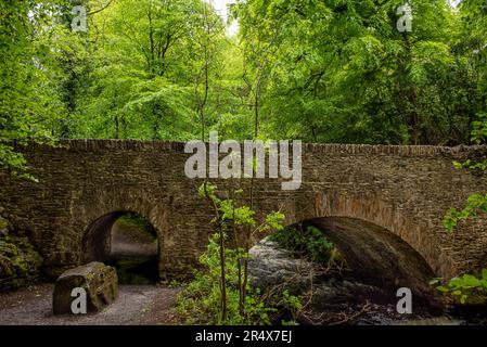 Alte Stein, Bogenbrücke über einen Fluss in den Wäldern in Killarney; Kerry, Irland Stockfoto