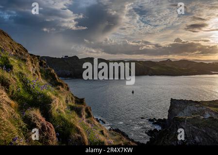 Blick auf die Fähre, die durch die Gewässer um Cape Clear auf Sherkin Island fährt, vom Dorf Baltimore bei Sonnenuntergang; West Cork, Irland Stockfoto