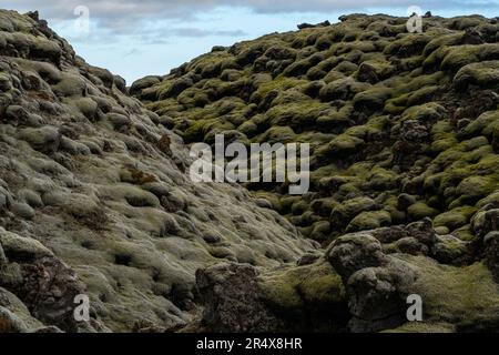Geheimnisvolle und künstlerische Muster eines moosbedeckten Lavafeldes in Island; Süd-Island, Island Stockfoto