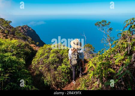 Blick von hinten auf eine Frau mit Strohhut, die auf einer Bergklippe steht und auf das brillante, blaue Wasser des Pazifiks blickt... Stockfoto