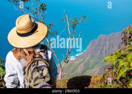 Blick von hinten auf eine Frau mit Strohhut, die auf einer Bergklippe steht und auf das brillante, blaue Wasser des Pazifiks blickt... Stockfoto