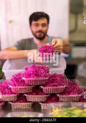 Ein Mann im Rollstuhl portioniert auf einer städtischen Farm in Edmonton, Alberta, Kanada, frisches Mikrogrün Stockfoto