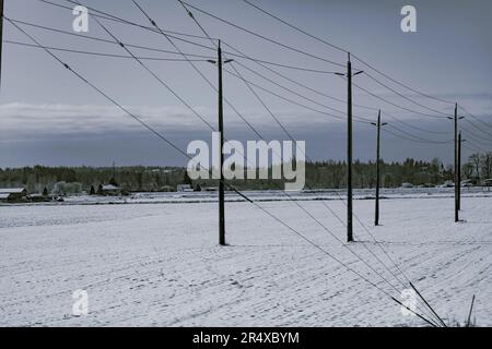 Schnee bedeckt ein Feld auf dem Land mit Überlandleitungen; Langley, British Columbia, Kanada Stockfoto