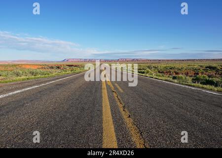 Leere offene Straße, die sich in Arizona erstreckt Stockfoto