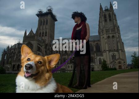 Junge Frau und ein Hund vor der Washington National Cathedral in Washington, DC, USA; Washington, District of Columbia, Vereinigte Staaten von Amerika Stockfoto