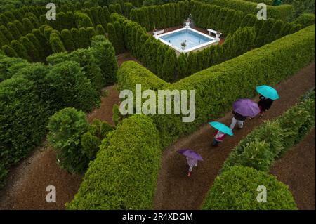 Familie mit Sonnenschirmen spaziert durch ein Gartenlabyrinth; Luray, Virginia, USA Stockfoto