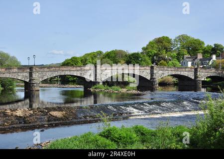 Fünf Granitsteinbrücken über den Fluss Cree in Newton Stewart, Dumfries und Galloway, Schottland, Großbritannien Stockfoto