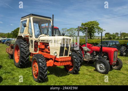 Traktor David Brown 1210. Chipping Steam Fair 2023. Stockfoto