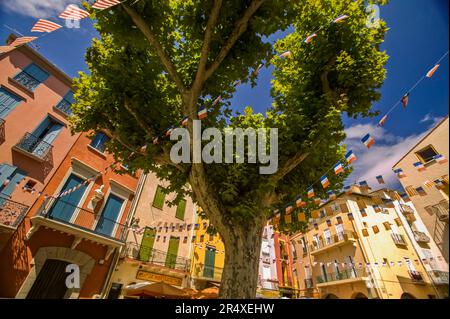 Straßenszene in Collioure, Frankreich; Collioure, Pyrenäen Orientales, Frankreich Stockfoto