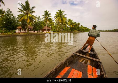 Der Bootsmann fährt die Backwaters vorbei an einem Bauernhof in Kerala, Indien; Kumarakom, Bundesstaat Kerala, Indien Stockfoto