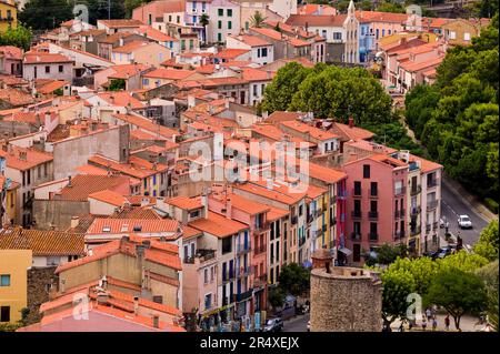 Farbenfrohe Gebäude und Dächer in Collioure, Frankreich; Collioure, Pyrenäen Orientales, Frankreich Stockfoto