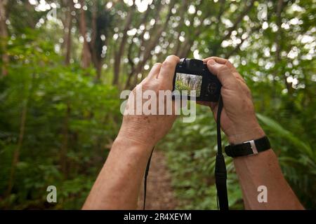 Blick von der Rückseite einer Digitalkamera im Jozani Chwaka Bay Nationalpark in Sansibar; Sansibar Stockfoto