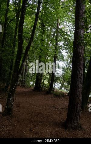 Frankreich, Bretagne, Paimpont auf 2021-09-19. Tourismus und Illustration des Alltags in der Bretagne. Hier, Notre-Dame de Paimpont Abtei, Eingang zum Broc Stockfoto