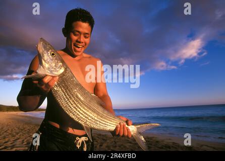 Junger Mann, der einen frisch gefangenen Knochenfisch an einem Strand in der Abenddämmerung hält; Maui, Hawaii, Vereinigte Staaten von Amerika Stockfoto