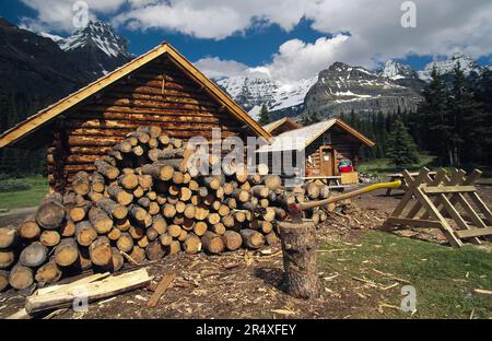 Gehacktes Holz stapelt vor einer Blockhütte im Yoho-Nationalpark, BC, Kanada; British Columbia, Kanada Stockfoto