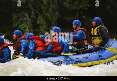 Raftingtour entlang der Stromschnellen des Kicking Horse River im Yoho National Park, BC, Kanada; British Columbia, Kanada Stockfoto