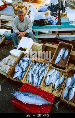Lokaler Fisch zum Verkauf auf einem Freiluftmarkt; Bodrum, Republik Turkiye Stockfoto