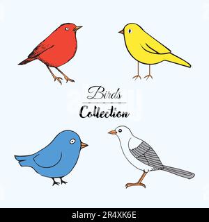 Vogelvektorsammlung. Set Aus Roten, Gelben, Blauen, Weißen Süßen Vögeln. Stock Vektor