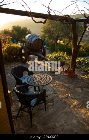 Tisch und zwei Stühle und ein im Herbstlicht getauchtes Weinfass; Tal des Flusses Douro, Portugal Stockfoto