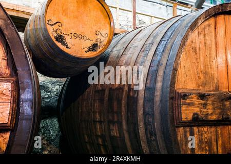 Weinfässer in einem Weingut im Tal des Flusses Douro in Portugal; Tal des Flusses Douro, Portugal Stockfoto