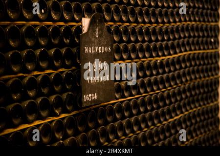 Flaschen mit 1998 Jahrgängen Portwein in Porto, Portugal; Porto, Portugal Stockfoto