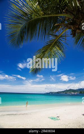 Palmwedel hängen im Vordergrund, während ein Schwimmer das Wasser am Grand Ause Beach, Grenada, verlässt Stockfoto