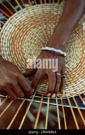 Nahaufnahme der Hände einer Frau, die einen Korb basteln; Carib Territorial Reserve, Commonwealth of Dominica Stockfoto