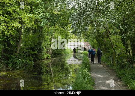 Montgomery-Kanal südlich von Welshpool Stockfoto