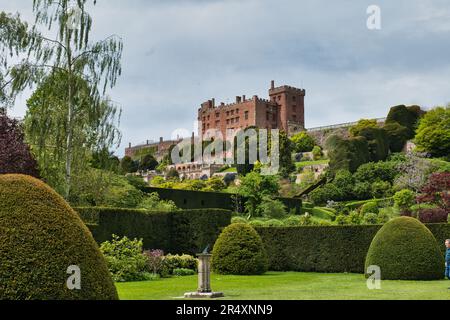 Schloss, Welshpool Powys Stockfoto