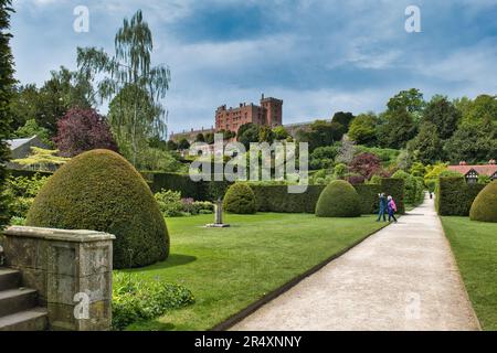 Schloss, Welshpool Powys Stockfoto