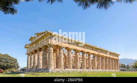 Paestum, Italien; 30. Mai 2023 - der Tempel der Hera in Paestum, der einige der am besten erhaltenen antiken griechischen Tempel der Welt enthält. Stockfoto