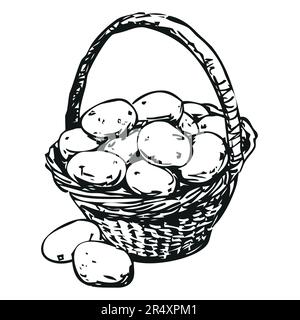Kartoffeln in einem Korb aus Korb, Schwarz-Weiß-Illustration Stock Vektor