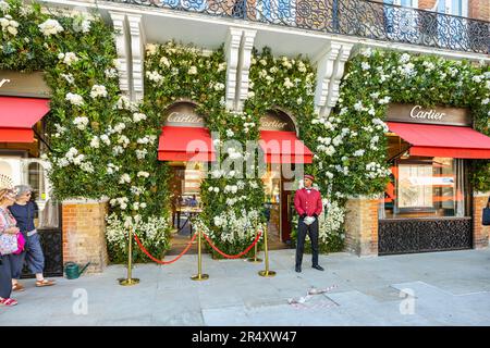 Blumenausstellungen bei Cartier Jewellers in der Sloane Street im Sloane Square Area, London SW1 in der Chelsea in Bloom Week während der Chelsea Flower Show Stockfoto