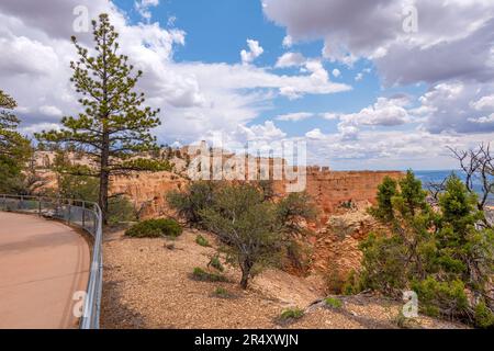 Der Brice Canyon-Nationalpark und der umliegende Landschaftsstaat Utah. Stockfoto