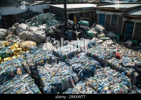 Die Arbeiter verladen Kunststoffflaschen in einen Verdichter, um in einer Recyclinganlage in Nakuru Ballen zu pressen. In Paris, Frankreich, haben sich Verhandlungsführer für die zweite Runde der Beratungen versammelt, um einen globalen Vertrag zu entwickeln, der das eskalierende Problem der Plastikverschmutzung angehen soll. Einem kürzlich veröffentlichten Bericht des Umweltprogramms der Vereinten Nationen (UNEP) zufolge haben die Länder das Potenzial, die Verschmutzung durch Kunststoffe bis 2040 um 80 % zu reduzieren, indem sie unnötige Kunststoffe beseitigen, Recycling- und Wiederverwendungsstrategien umsetzen, Pfandsysteme einführen und Kunststoff durch nachhaltige alternative Materialien ersetzen. (Foto Stockfoto