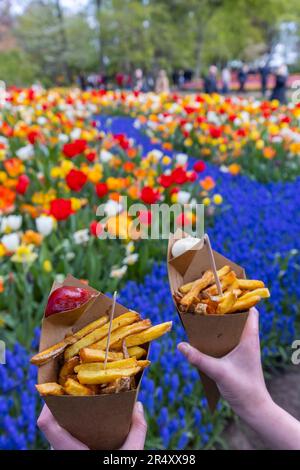 Belgische Pommes Frites im Blumengarten Keukenhof, Lisse, Niederlande Stockfoto