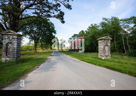 Fahren Sie am Boconnoc House and Estate in der Nähe von Lostwithiel in Cornwall Stockfoto