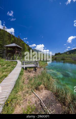 Frühlingslandschaft in Zelenci, Slowenien Stockfoto