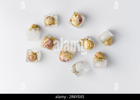 Konzeptionelle Zusammensetzung Rosenknospen in Eiswürfeln auf weißer Isolation, Draufsicht, Rosen gefroren in Eis. Stockfoto