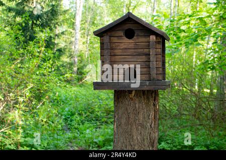 Holzfuttermittel für wilde Tiere, die im Hain leben. Eine Krippe für Eichhörnchen und andere Nagetiere in Form eines Hauses im Park. Stockfoto