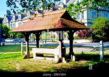 Horse Water Trough Built 1883, Clifton Green, York, Yorkshire, England Stockfoto