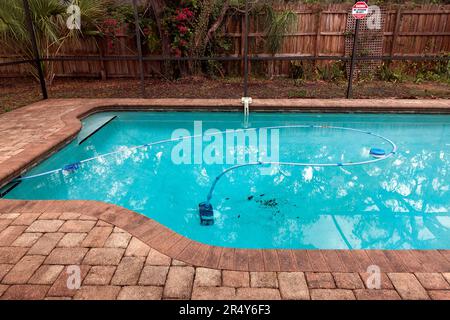 Der Roboterreiniger für den Garten-Swimmingpool saugt den Boden des Pools ab. Stockfoto