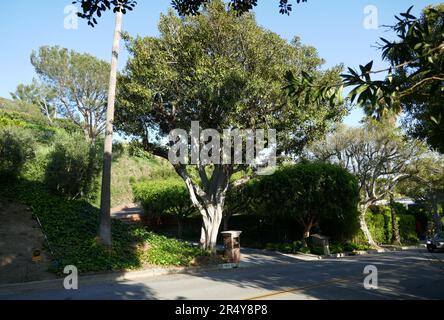 Beverly Hills, Kalifornien, USA 27. Mai 2023 Ein allgemeiner Blick auf das Haus der atmosphärischen Schauspielerin Jennifer Aniston am 27. Mai 2023 in Beverly Hills, Kalifornien, USA. Foto: Barry King/Alamy Stock Photo Stockfoto