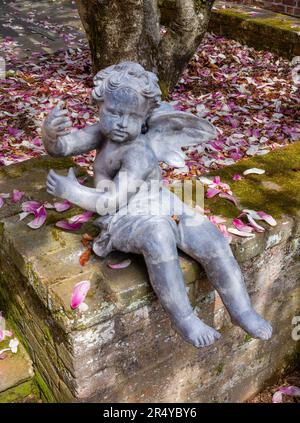 Engelsstatue und gefallene Magnolienblüten an einer Backsteinmauer im Copeland House, Mt. Cuba Center, Delaware Stockfoto