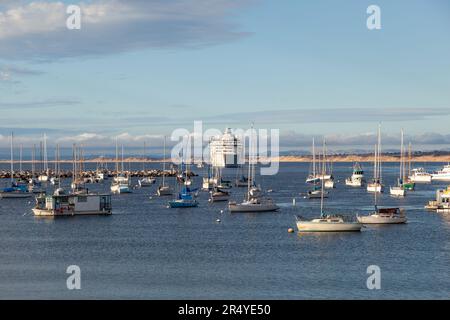 Monterey, USA - 22. Juni 2012: Yachten und Segelschiffe im Hafen von Monterey, USA. Stockfoto