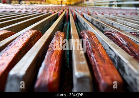 Elektrolysewanne mit installierten Kupferanoden im Werk Stockfoto