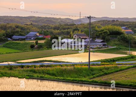 Goldene Stunde Licht auf überfluteten Reisfeldern in einem großen Haus im ländlichen Dorf Stockfoto