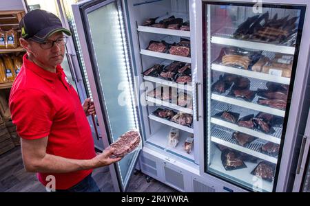 PRODUKTION - 25. Mai 2023, Mecklenburg-Vorpommern, Groß Wokern: Gefrorene Fleischteile von japanischen Wagyu-Rindern werden vom Bauern Udo Feldmann in die Kühlschränke gestellt. Dank seines intramuskulären Fettgewebes gilt das Fleisch des Tieres als nobel und ist in gehobenen Restaurants beliebt. Feldmanns züchten seit 2016 in der Mecklenburg Schweiz ihre eigenen Wagyu-Rinder. Von den 200 Rindern, die im Sommer auf 150 Hektar Wiesen stehen, sollen 30 bis 40 Tiere vermarktet werden. (Zu dpa-Korr: "Wagyu-Rinder in Nische - Inflation dämpft Wachstum") Foto: Jens Büttner/dpa Stockfoto