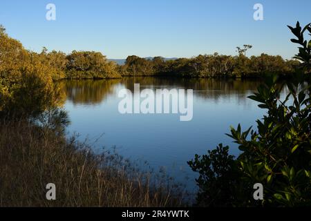 Ein weites Bild von einem Abschnitt des South Pine River, bald Hills, Queensland, Australien, in der frühen Morgensonne, mit Blick nach Westen zum klaren blauen Himmel Stockfoto