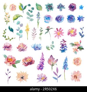 Ein Satz handgefertigter Aquarellblumen auf einem isolierten Hintergrund. Rosen, Lavendel, Maisblüten, Pfingstrosen, Sukkulenten, Lupinen. Hochzeit. Bannerdesign und Stockfoto